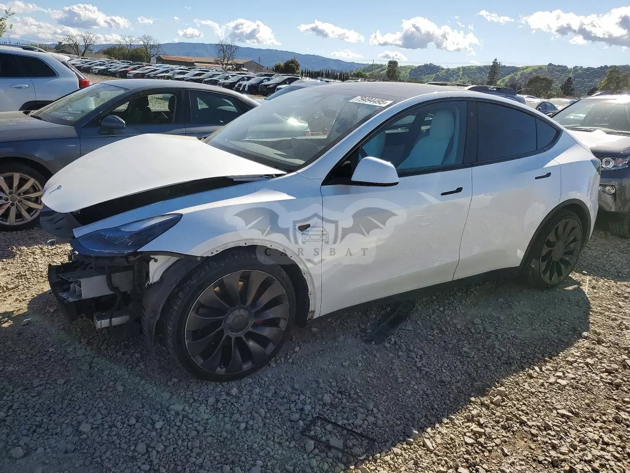 Tesla Model Y 2022