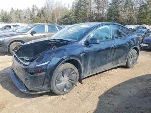 Tesla Model Y 2026
