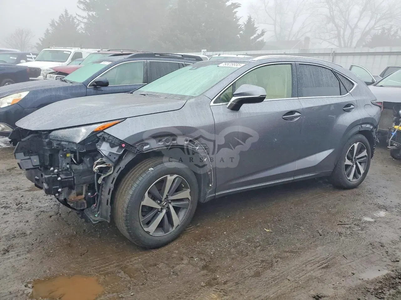 Lexus NX 2.0L 4 2019