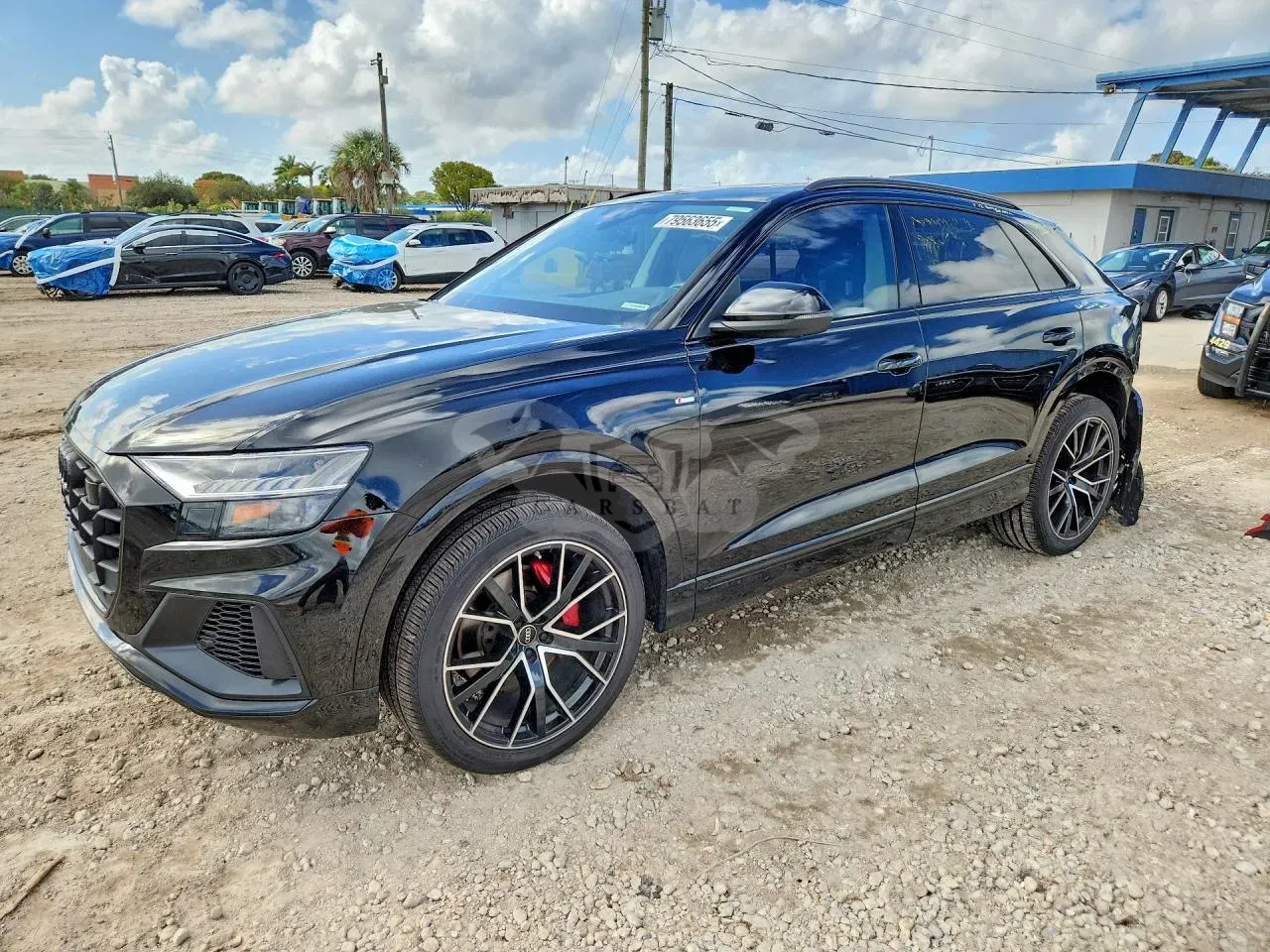 Audi Q8 3.0L 6 2023