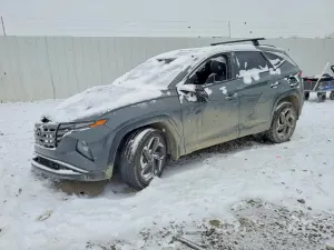 Hyundai Tucson 2.5L 4 2024