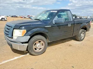 Ford F-150 4.6L 8 2009
