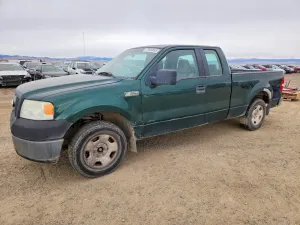 Ford F-150 4.6L 8 2007