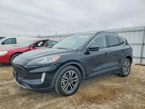 Ford Escape 2.0L 4 2020
