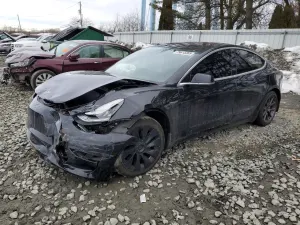 Tesla Model 3 2019