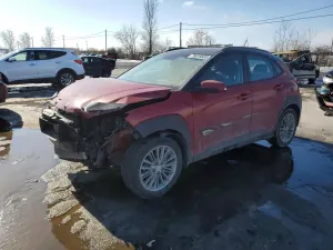Hyundai Kona 2.0L 4 2019