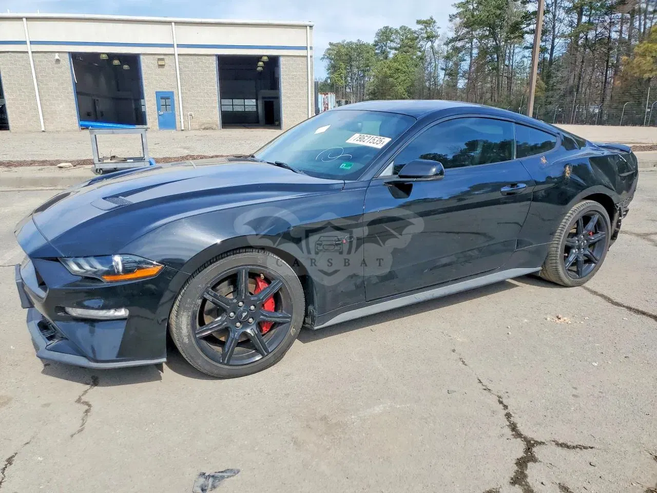 Ford Mustang 5.0L 8 2019