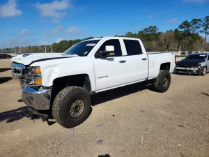 Chevrolet Silverado 1500 6.6L 8 2019