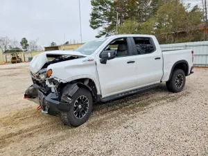 Chevrolet Silverado 1500 6.2L 8 2023