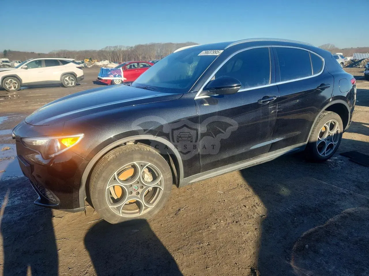 Alfa Romeo Stelvio 2.0L 4 2018