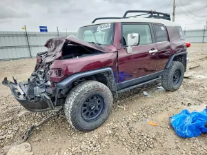 Toyota FJ Cruiser 4.0L 6 2007
