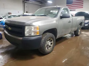 Chevrolet Silverado 1500 4.8L 8 2007