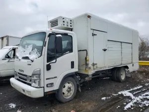 Isuzu NPR 6.6L 8 2024
