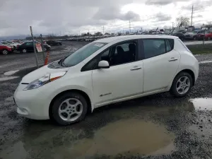 Nissan Leaf 0.0L 0 2013