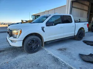 Ford F-150 5.0L 8 2021