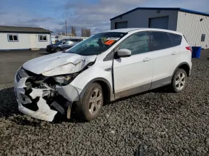 Ford Escape 1.6L 4 2014