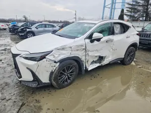 Lexus NX 2.5L 4 2025