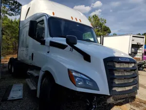 Freightliner Cascadia 14.8L 6 2019