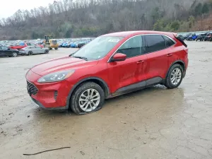 Ford Escape 1.5L 3 2020