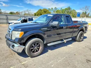 Ford F-150 4.6L 8 2010