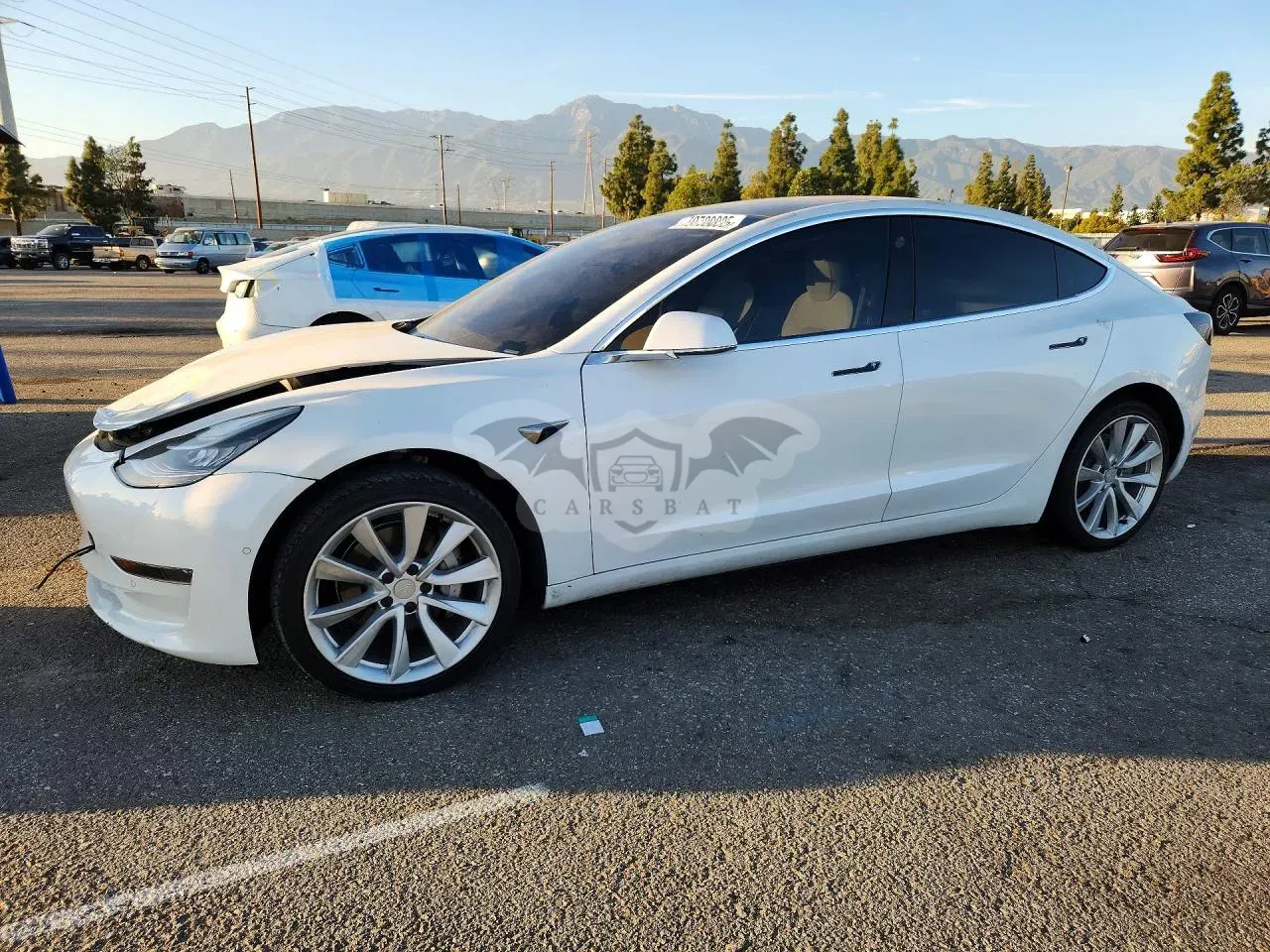 Tesla Model 3 2019