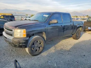 Chevrolet Silverado 1500 4.8L 8 2007
