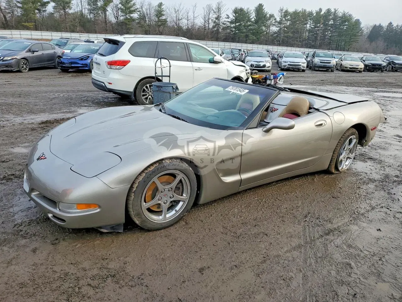 Chevrolet Corvette 5.7L 8 2001