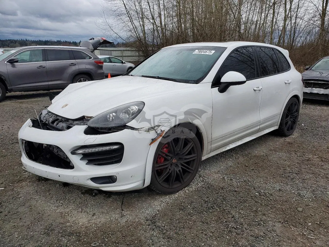 Porsche Cayenne 4.8L 8 2013