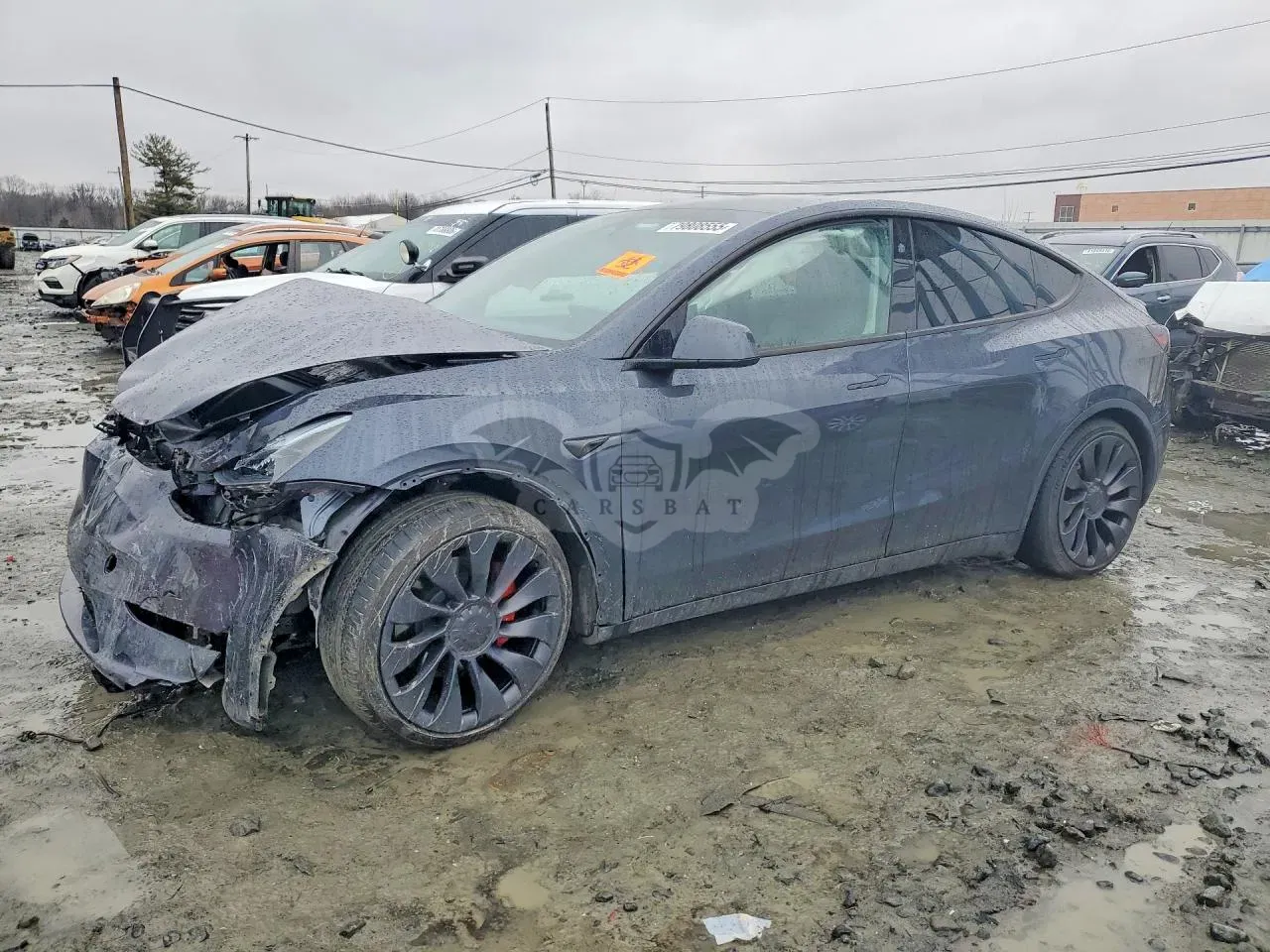 Tesla Model Y 2024