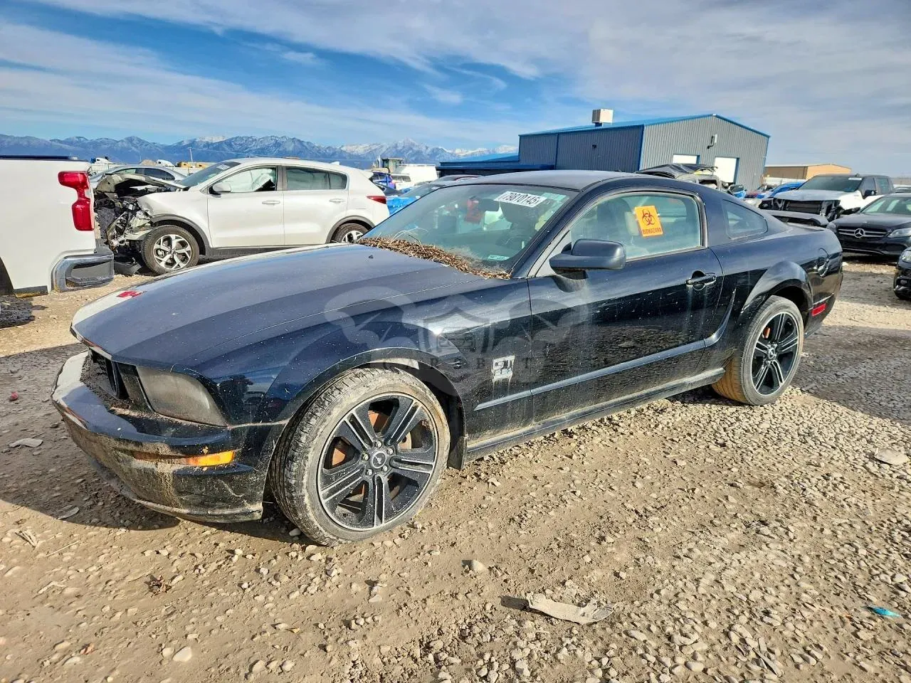 Ford Mustang 4.6L 8 2006