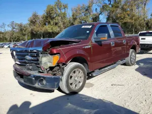 Ford F-150 4.6L 8 2009