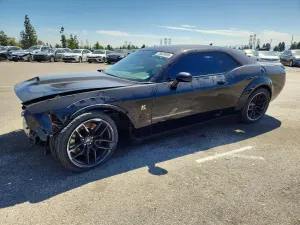 Dodge Challenger 6.4L 8 2019