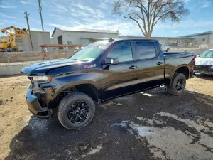 Chevrolet Silverado 1500 5.3L 8 2019