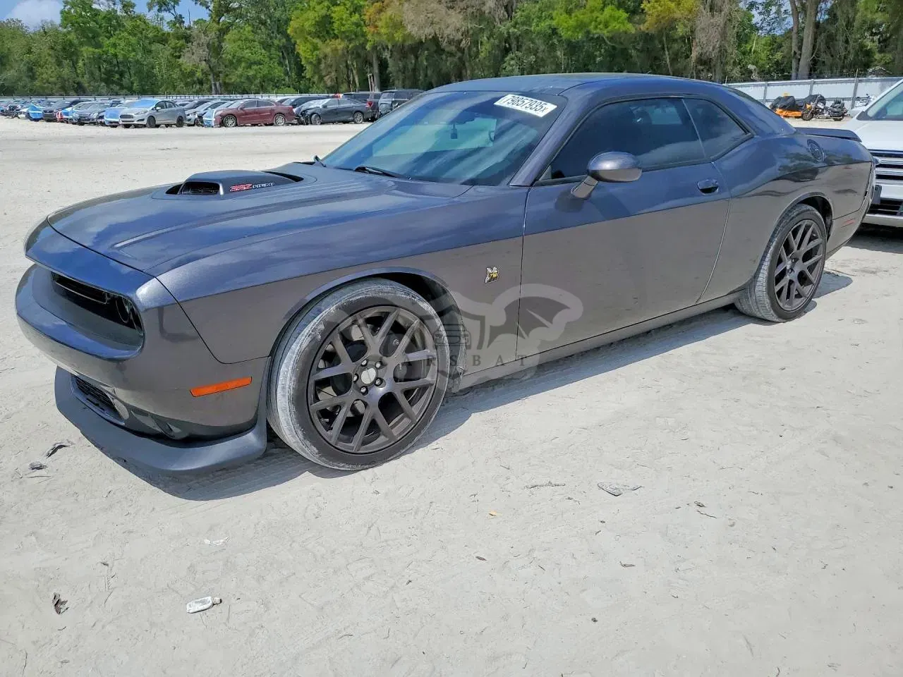 Dodge Challenger 6.4L 8 2016