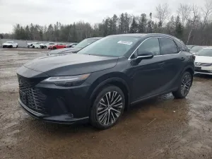 Lexus RX 2.4L 4 2024