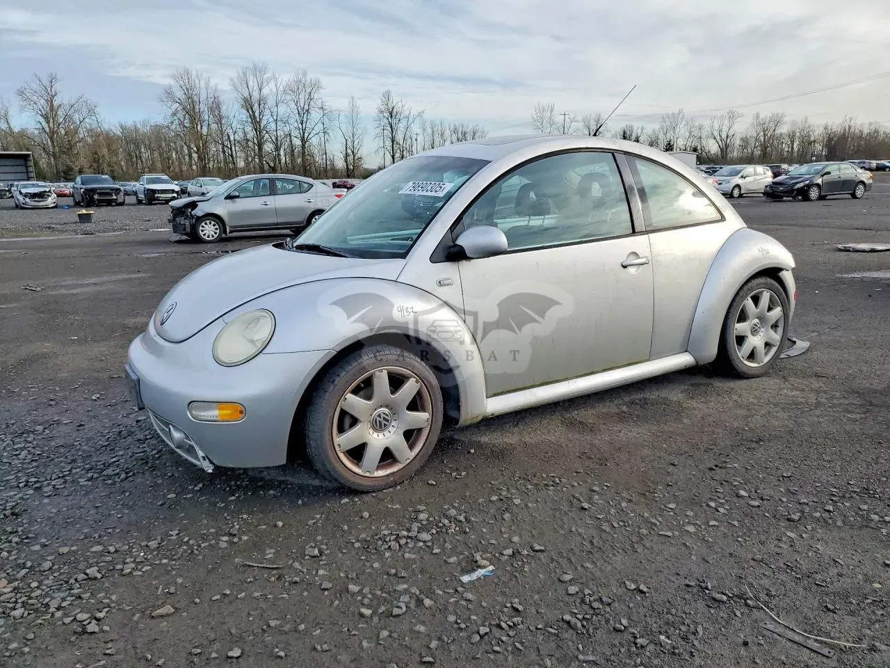 Volkswagen Beetle 1.8L 4 2001