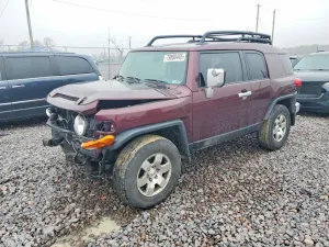 Toyota FJ Cruiser 4.0L 6 2007