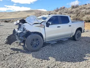 Chevrolet Silverado 1500 5.3L 8 2021
