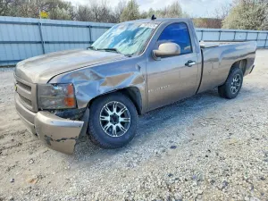 Chevrolet Silverado 1500 4.8L 8 2007