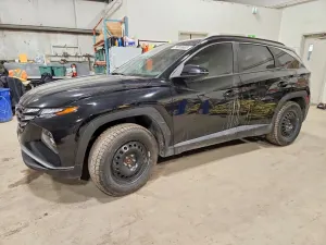 Hyundai Tucson 2.5L 4 2024