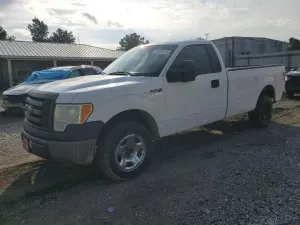 Ford F-150 4.6L 8 2010