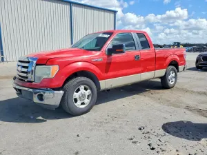 Ford F-150 4.6L 8 2009