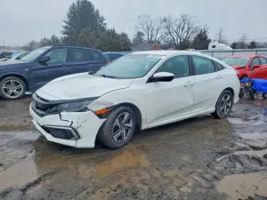 Honda Civic 2.0L 4 2019