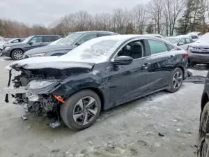 Honda Civic 2.0L 4 2019