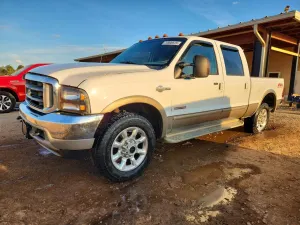 Ford F-250 6.0L 8 2004