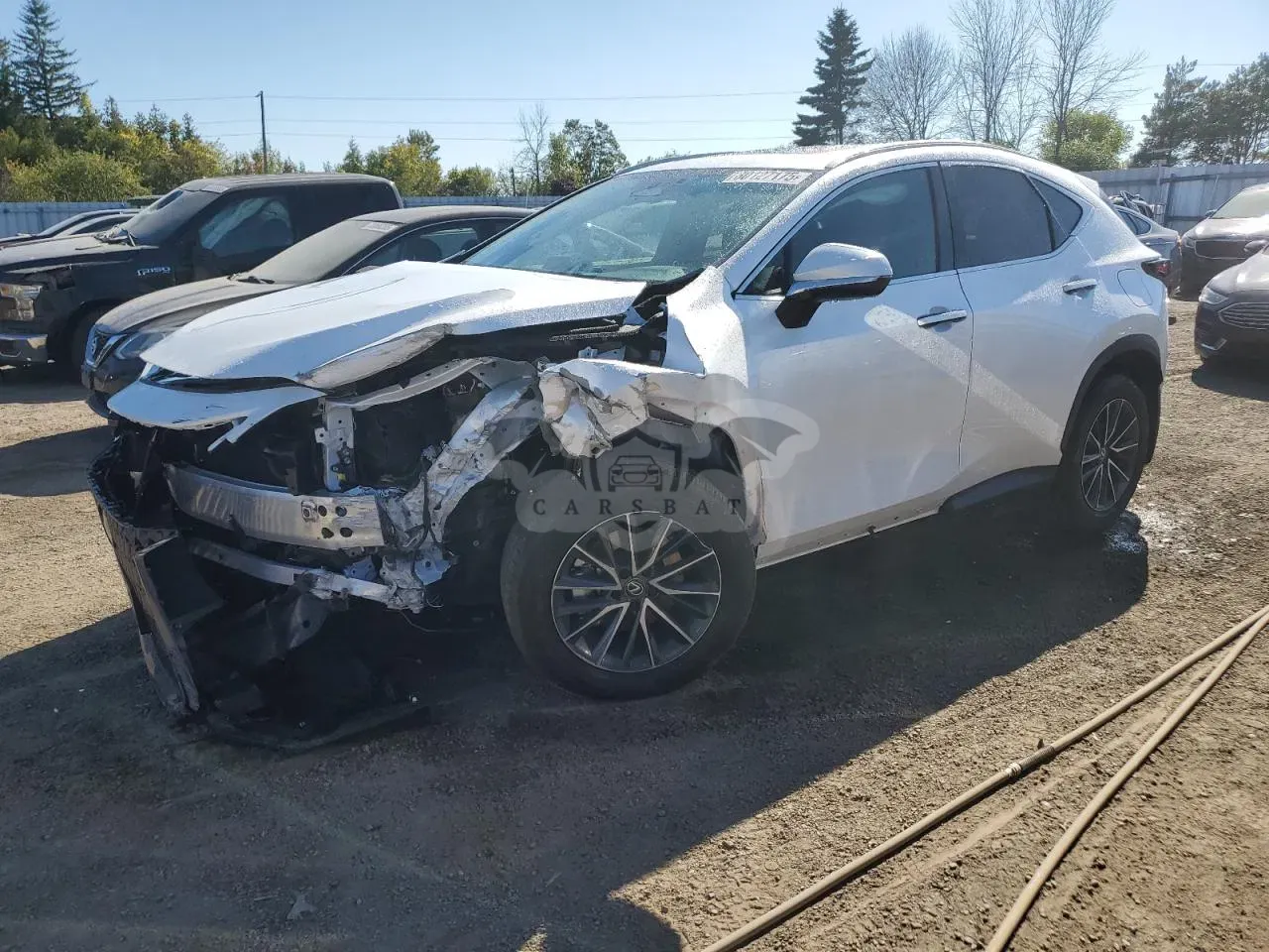 Lexus NX 2.5L 4 2025
