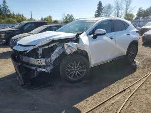 Lexus NX 2.5L 4 2025