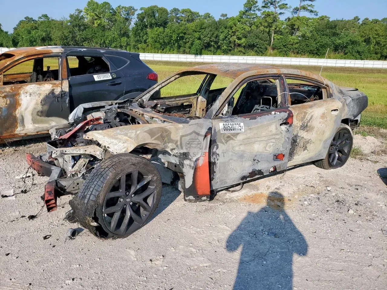 Dodge Charger 5.7L 8 2019