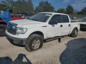 Ford F-150 SUPERCREW 5.4L 8 2010