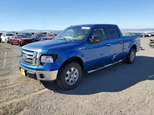 Ford F-150 SUPERCREW 4.6L 8 2009